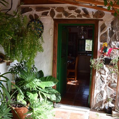 La Casa De Los Pinos Temisas Εξωτερικό φωτογραφία